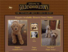 Tablet Screenshot of goldendoodletown.com